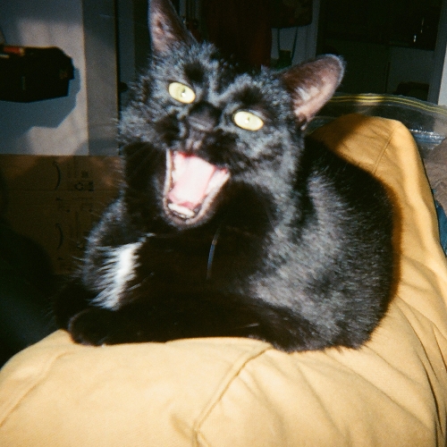 yawnin'